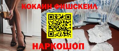 гидропоника Камышлов