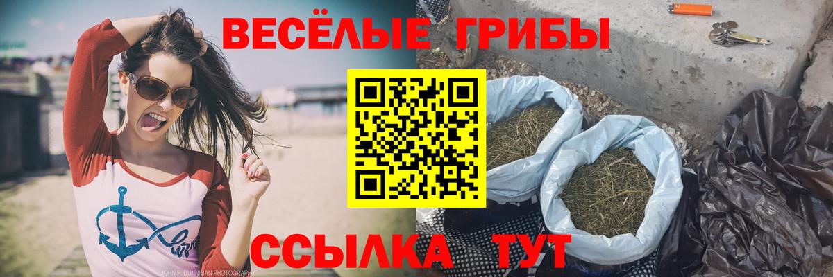 Галлюциногенные грибы мухоморы Коркино